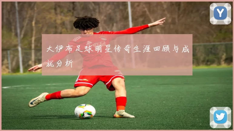 大伊布足球明星传奇生涯回顾与成就分析