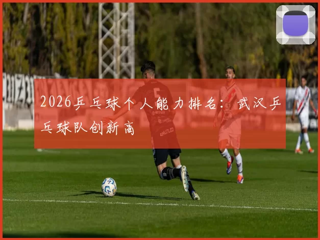 2026乒乓球个人能力排名：武汉乒乓球队创新高