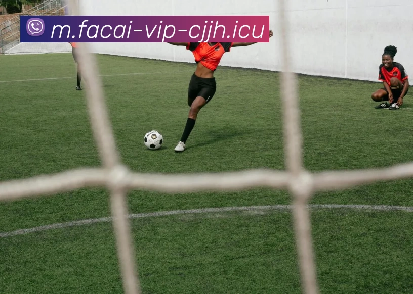 乐鱼体育注册平台生态图